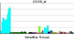 PBB GE SCC-112 212138 at tn.png