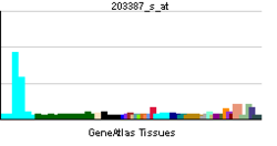 PBB GE TBC1D4 203387 s at tn.png