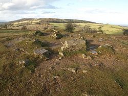 Summit of Cothelstone Hill - geograph.org.uk - 1139982.jpg