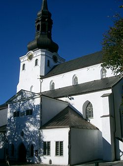 Tallinn Cathedral from S.JPG