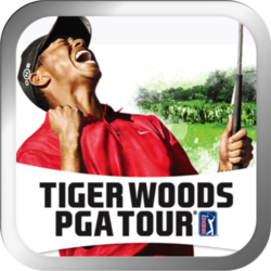 Tiger Woods PGA Tour art.png