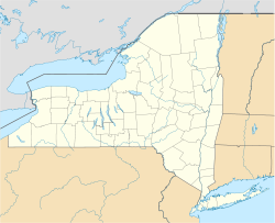 Niagara Falls, New York is located in New York