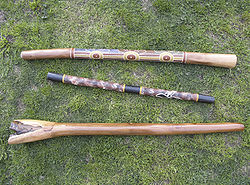 Various Types of Didgeridoo.JPG