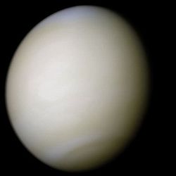 Venus in real color, a nearly uniform pale cream. The planet's disk is about three-quarters illuminated. Almost no variation or detail can be seen in the clouds.