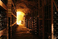 A wine cellar in Chvalovice in the Czech Republic