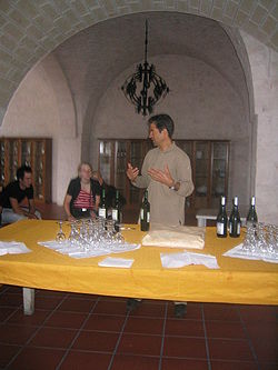 A wine tasting in southern Italy