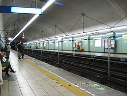 Yokohama-municipal-subway-Mitsuzawa-Kamicho-station-tracks.JPG