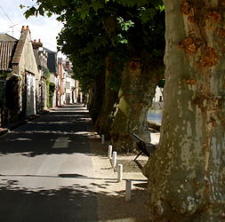 Along the canal in Montargis.jpg