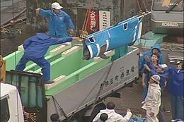A dolphin in a sling being lowered by staff into one of two dolphin tubs on back of a truck.