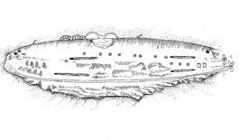 Line drawing of partially-crushed battleship hull lying upside down on the seabed.