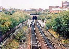 Oldham Werneth railway station in 1988.jpg