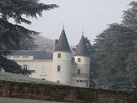 Château de Tourvéon (69) - 1.JPG