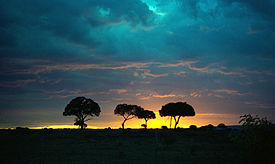 1993 158-11A Masai Mara sunset.jpg