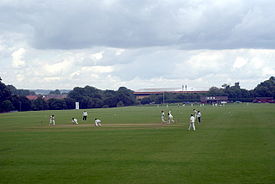 Cricket Field at Chawton, Hampshire - geograph.org.uk - 1417562.jpg