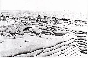 Soldiers in sandbag construction