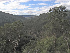 The Mitchell River valley looking north from The Bluff Lookout