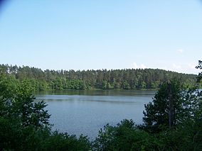 Drawienski Park Narodowy - jezioro Ostrowieckie 1.jpg