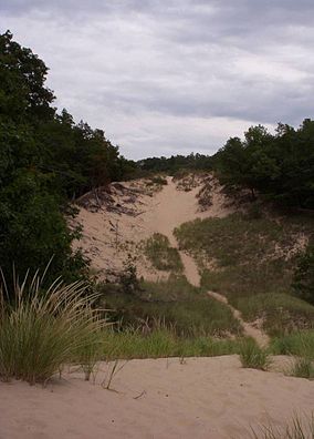 Hoffmaster parabolic dune.jpg
