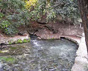 The largest of the Comal Springs form the headwaters of the Comal River.