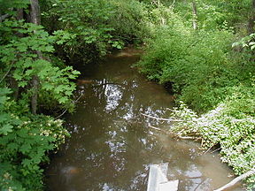 A stream crossing Jacques Lane