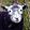 Herdwick sheep crop.jpg
