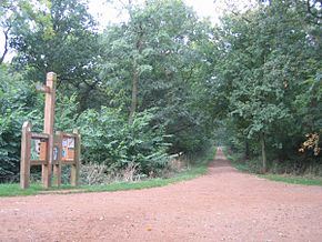 Picture of an access path into the woods, with mature trees in full leaf