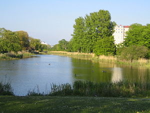 Öresundparken, Malmö.jpg