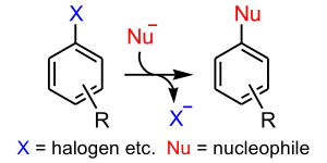 Aromatic nucleophilic substitution