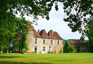 Chateau-de-falgueyrac.jpg