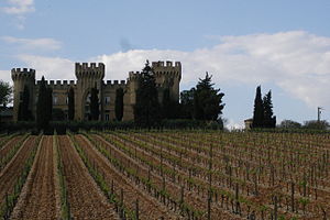 Chateauneuf vineyard & castle.jpg