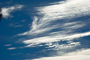 Cirrocumulus lacunosus clouds