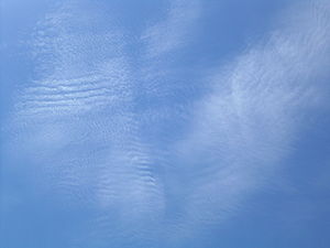 Cirrocumulus undulatus clouds