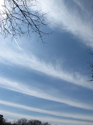 Cirrus radiatus clouds with a contrail crossing through