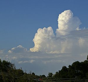 A example of cumulus congestus clouds viewed from the distance.