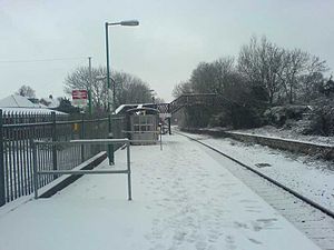 Dingle Road Railway Station Snow.jpg