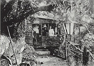 Dining hut at Curlew Camp circa 1900.jpg