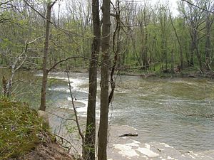 Mississinewa River .JPG