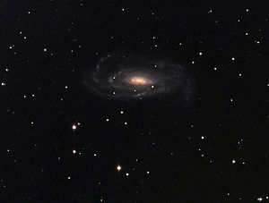 NGC 5033. Credit: Peter Bresseler.