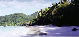 A tropical beach with sand, surf and trees. Some bathers enjoy the blue waters.