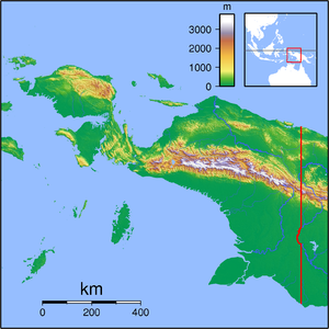 Owi Airfield is located in Papua