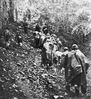 Sutjeska povlacenje 1943.jpg