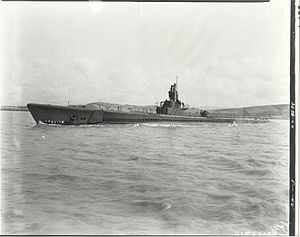 USS Spadefish;0841102.jpg