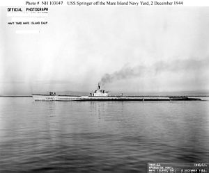 USS Springer;I03047.jpg