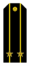 RFNAVYSH-CP2.png