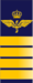 SWE-Airforce-överste.png