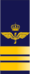 SWE-Airforce-major.png