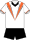 Wests Tigers commemorative jersey 2009.svg