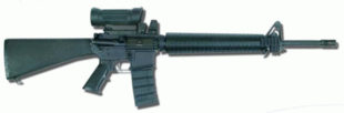 Danish AR M95.gif