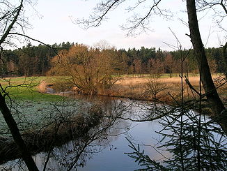 The Örtze near Hermannsburg