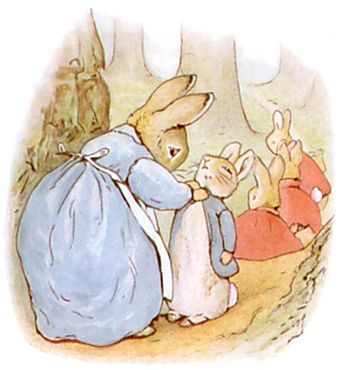 Tale of peter rabbit 12.jpg